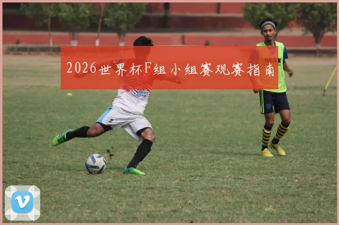 2026世界杯F组小组赛观赛指南