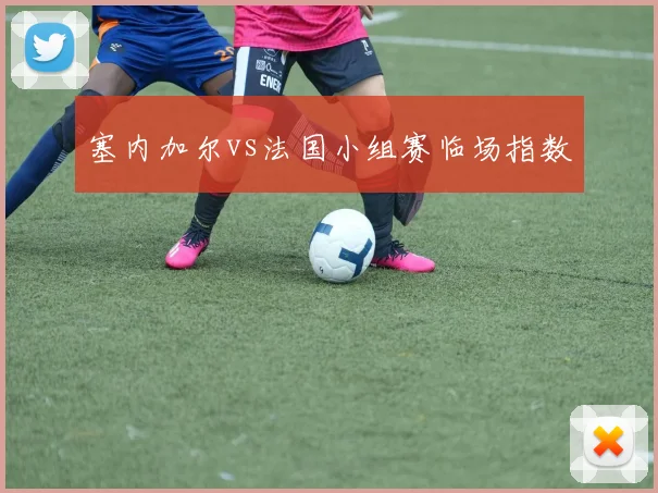 塞内加尔vs法国小组赛临场指数
