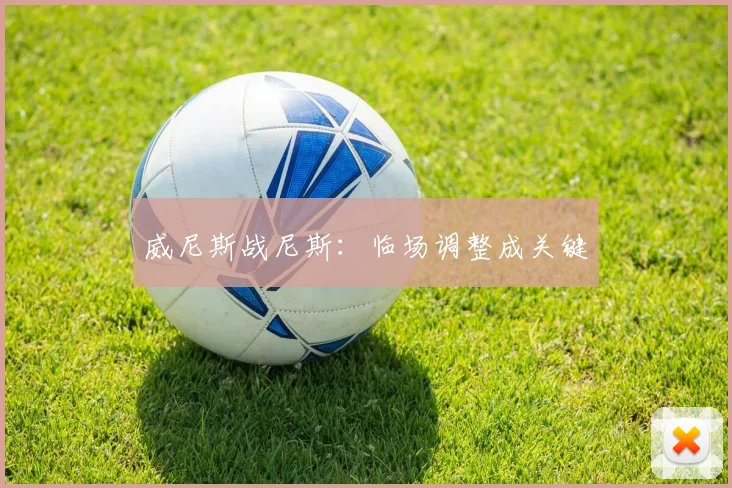 威尼斯战尼斯：临场调整成关键