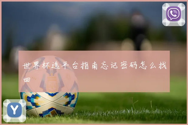 世界杯选平台指南忘记密码怎么找回