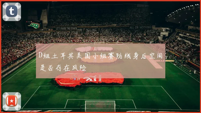 D组土耳其美国小组赛防线身后空间是否存在风险