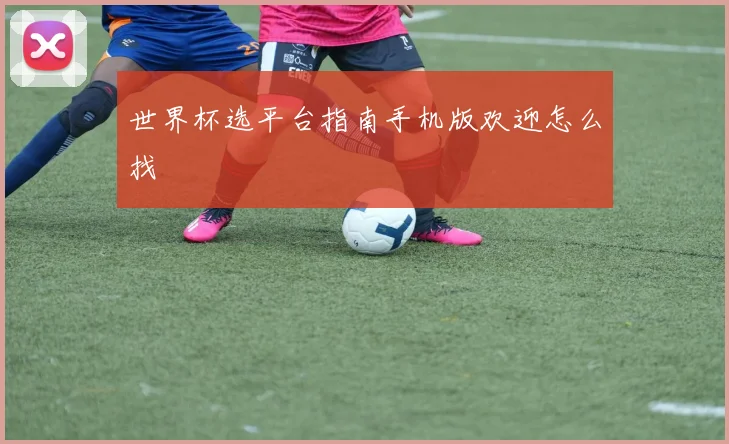 世界杯选平台指南手机版欢迎怎么找