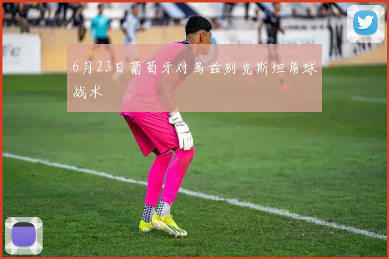 6月23日葡萄牙对乌兹别克斯坦角球战术