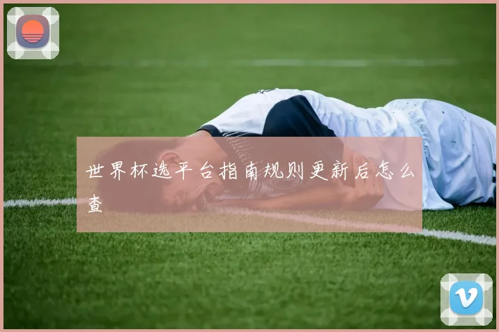 世界杯选平台指南规则更新后怎么查
