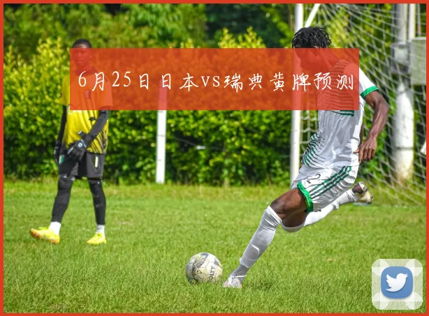 6月25日日本vs瑞典黄牌预测